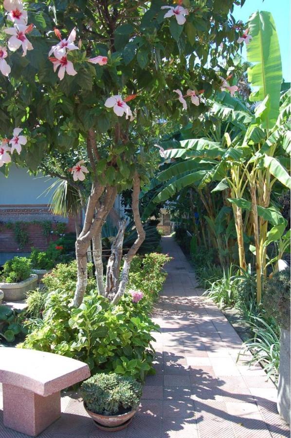 Le Zagare Apartments Sant'Alessio Siculo Ngoại thất bức ảnh
